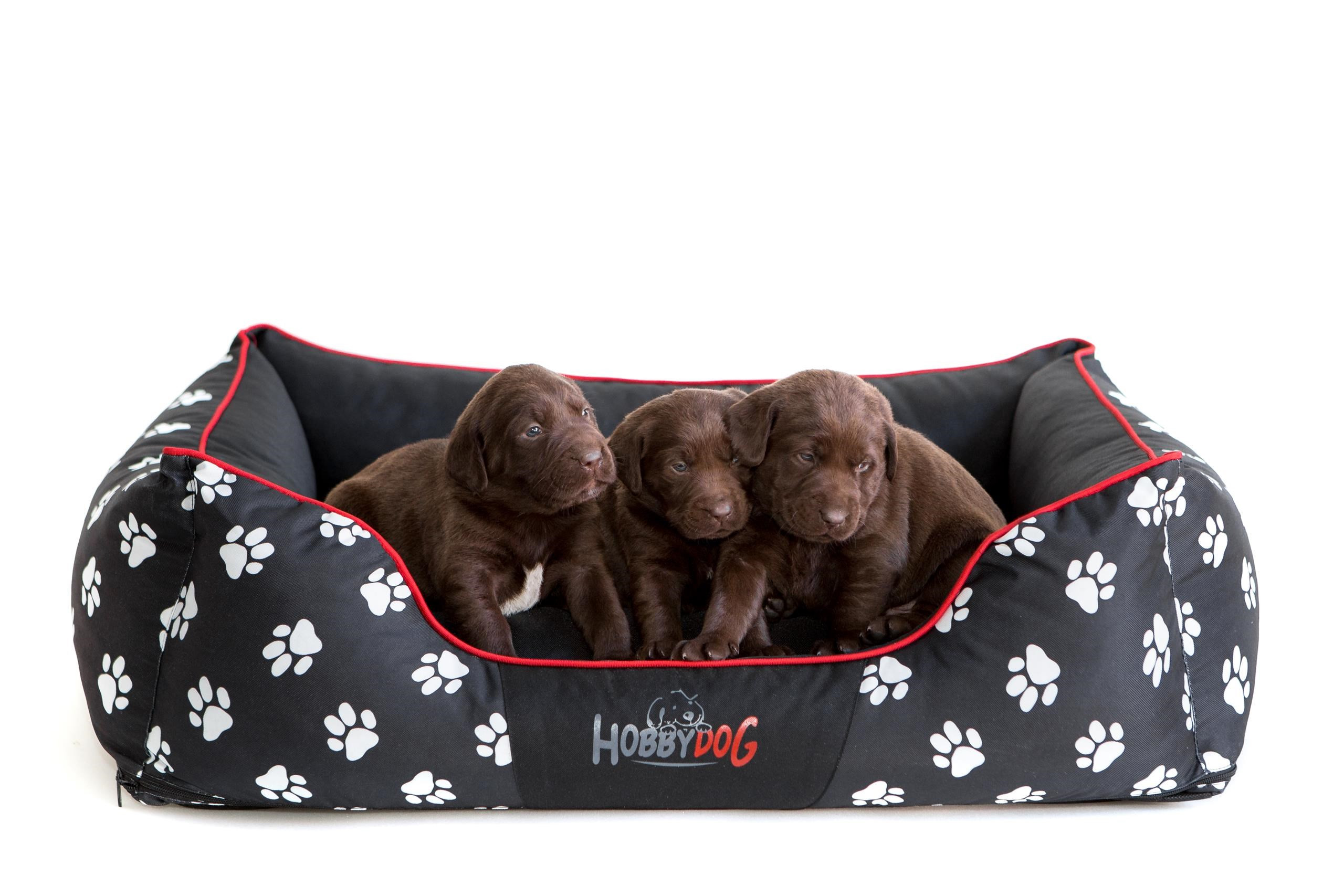 Pelíšek Prestige L černý, tlapky