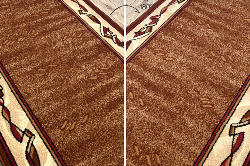 Běhoun BCF FILIP hnědý