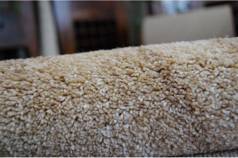 Běhoun KARMEL FRYZ - SAKA béž