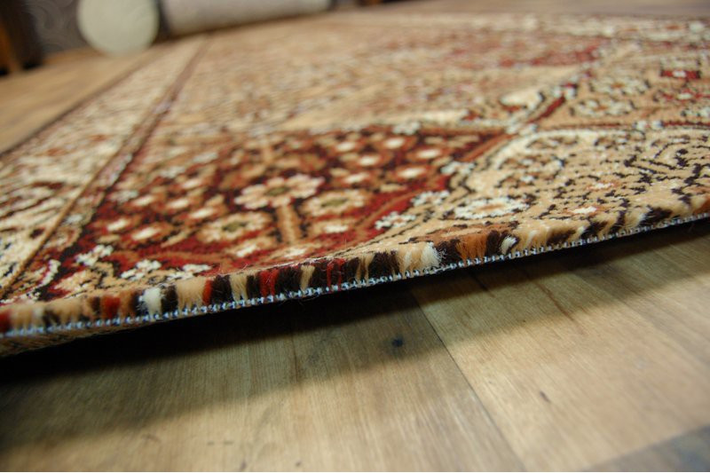 Běhoun STANDARD BERGENIA terakota