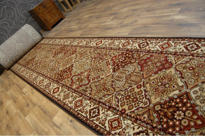 Běhoun STANDARD BERGENIA terakota