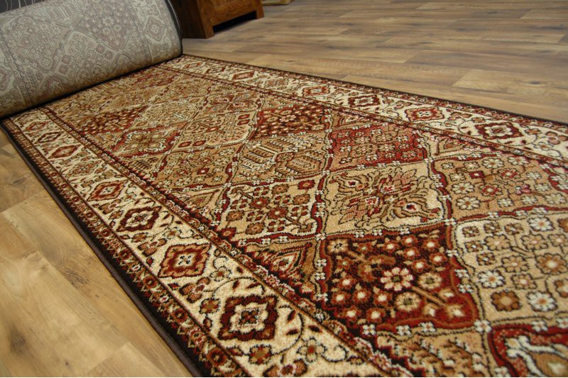 Běhoun STANDARD BERGENIA terakota