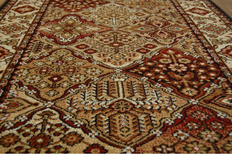 Běhoun STANDARD BERGENIA terakota