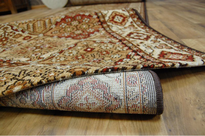 Běhoun STANDARD BERGENIA terakota