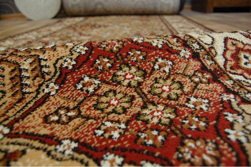 Běhoun STANDARD BERGENIA terakota