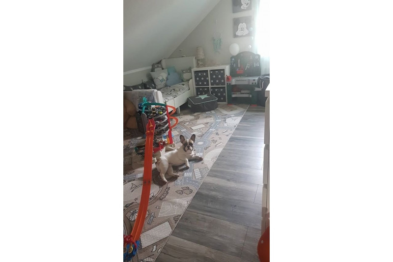 Dětský protiskluzový koberec STREET béžový