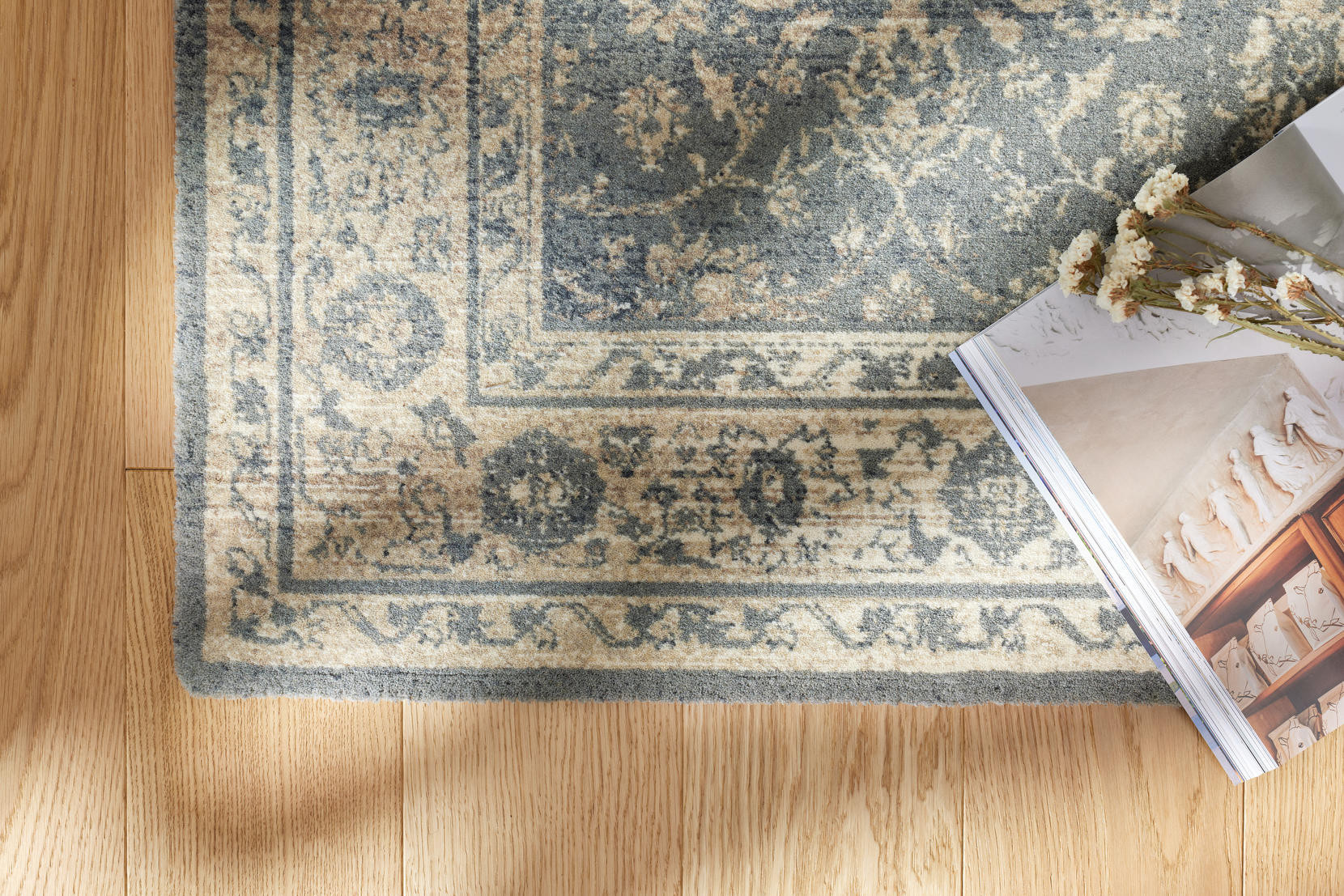 Koberec Agnella Regius Rostia popel