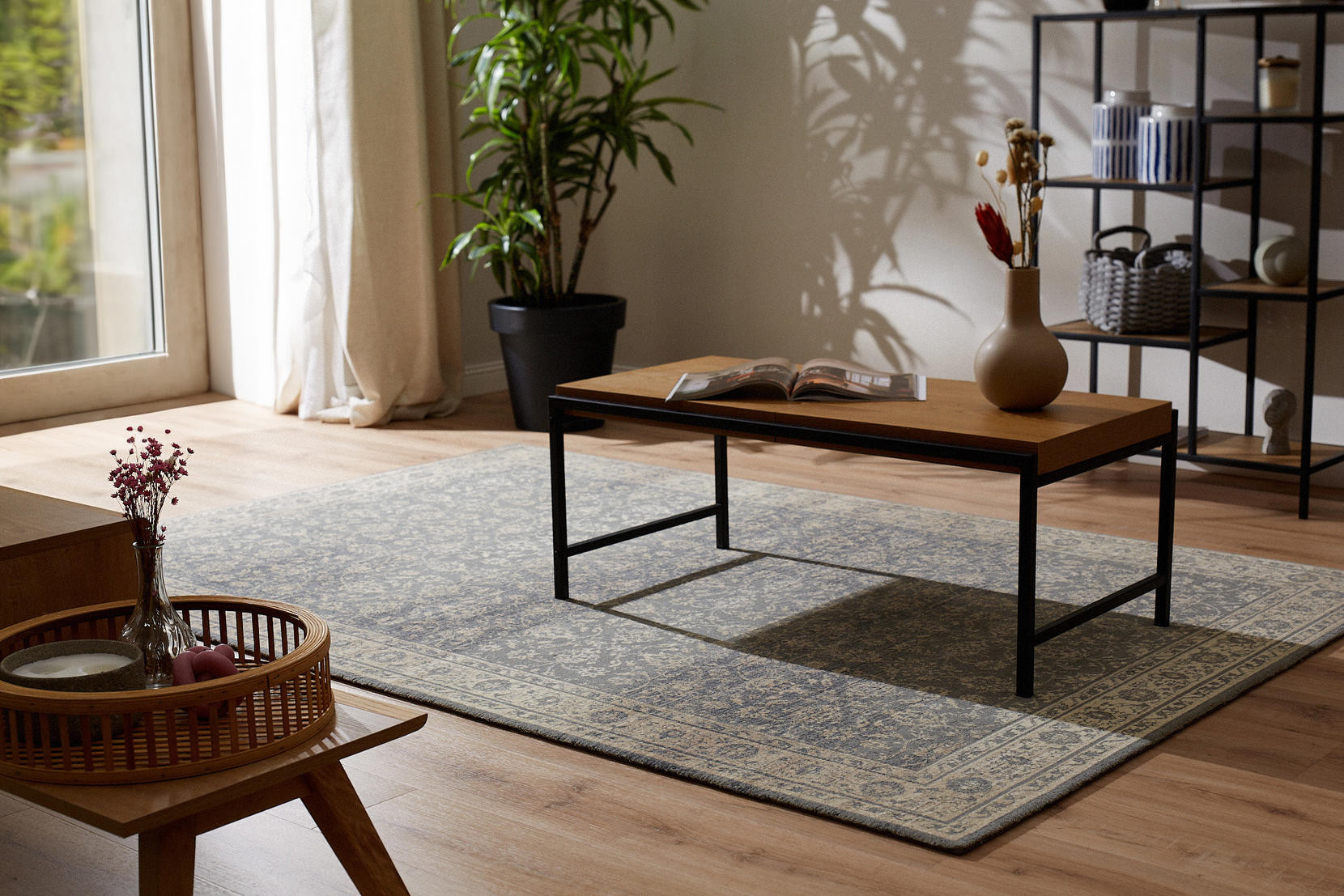 Koberec Agnella Regius Rostia popel