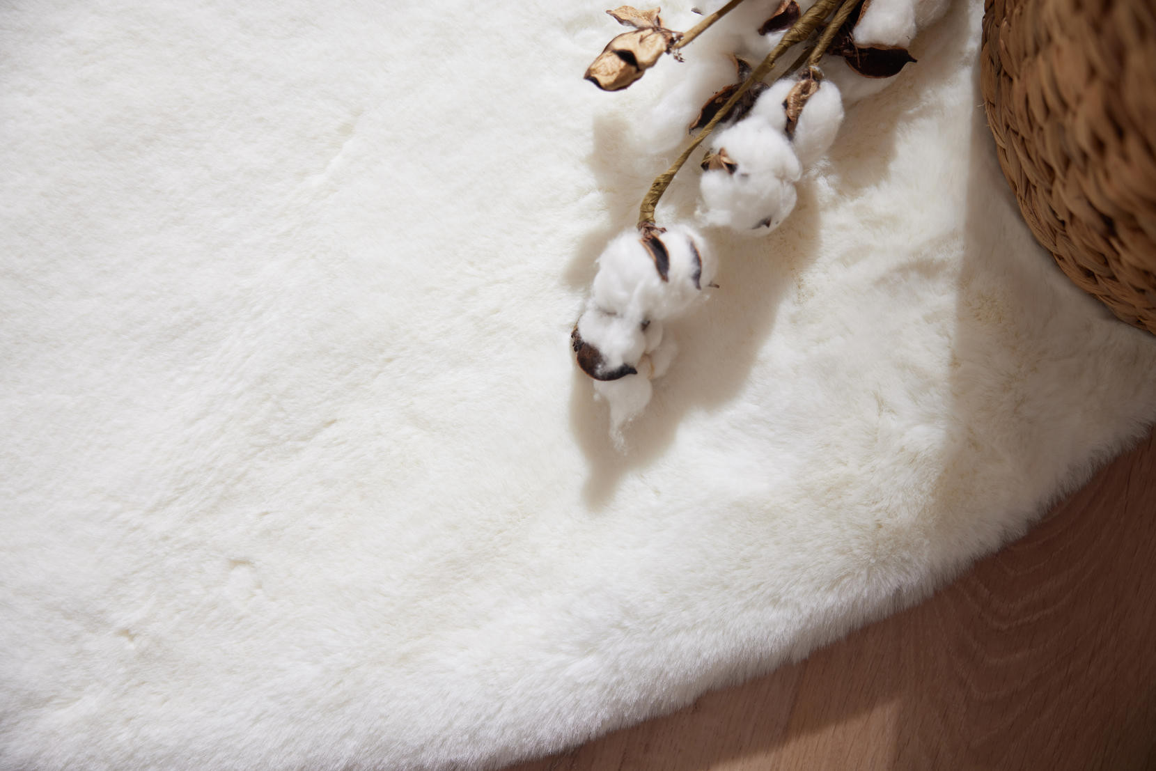 Koberec Angelo bílý kruh