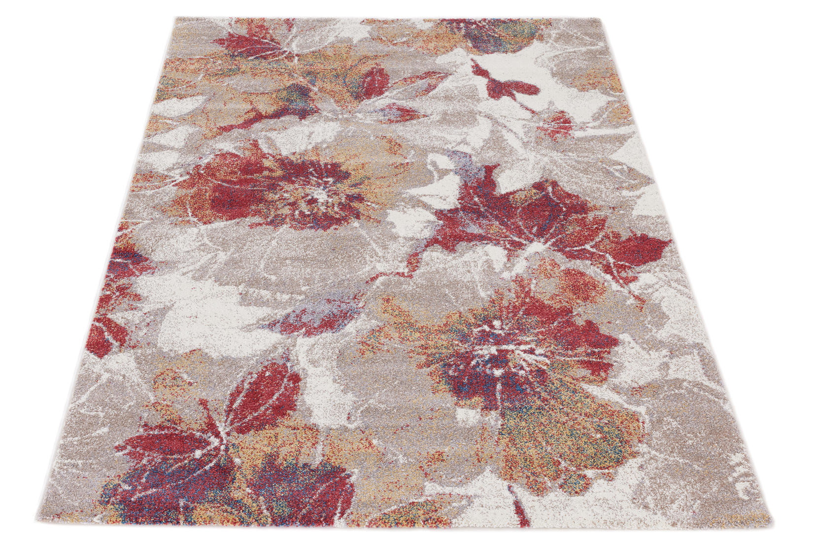 Koberec Bloom Aster