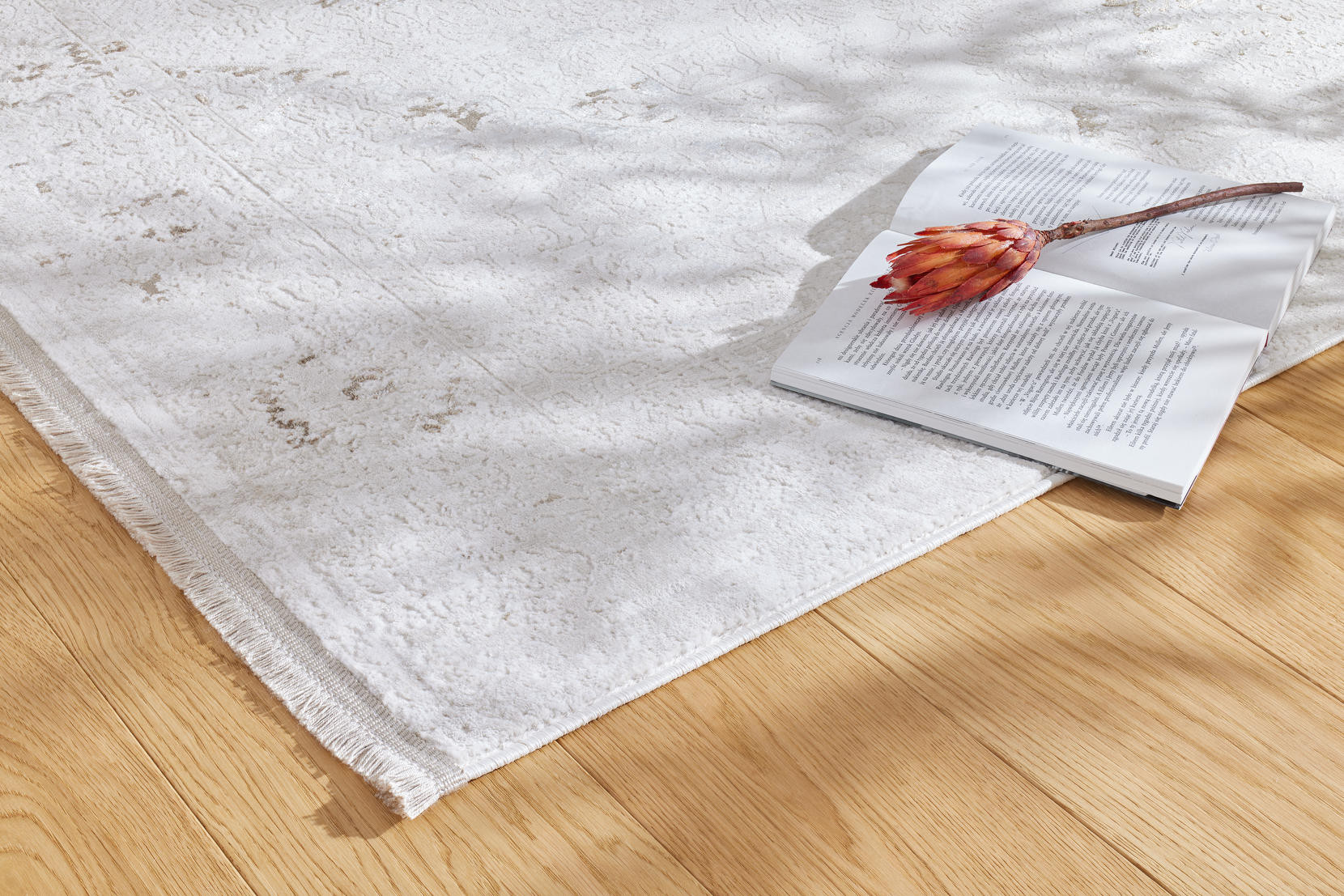 Koberec Luna Classico Beige