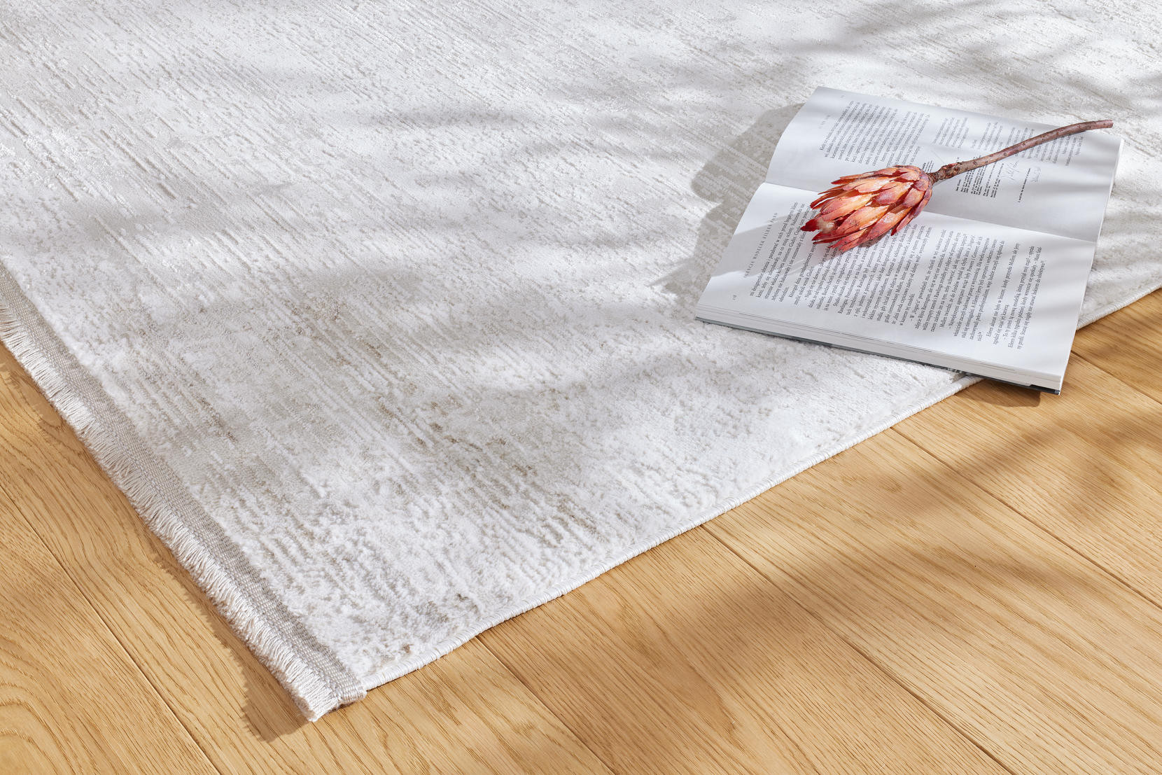 Koberec Luna Dimma Cream