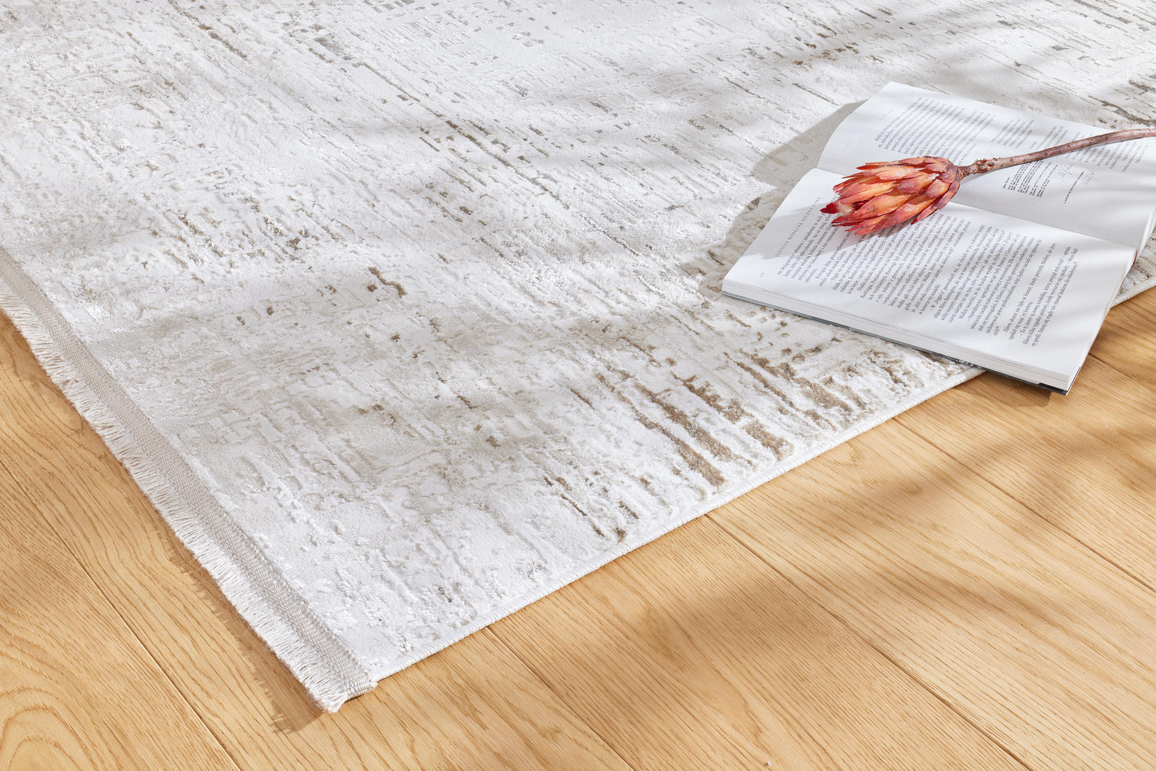 Koberec Luna Pulvis Beige