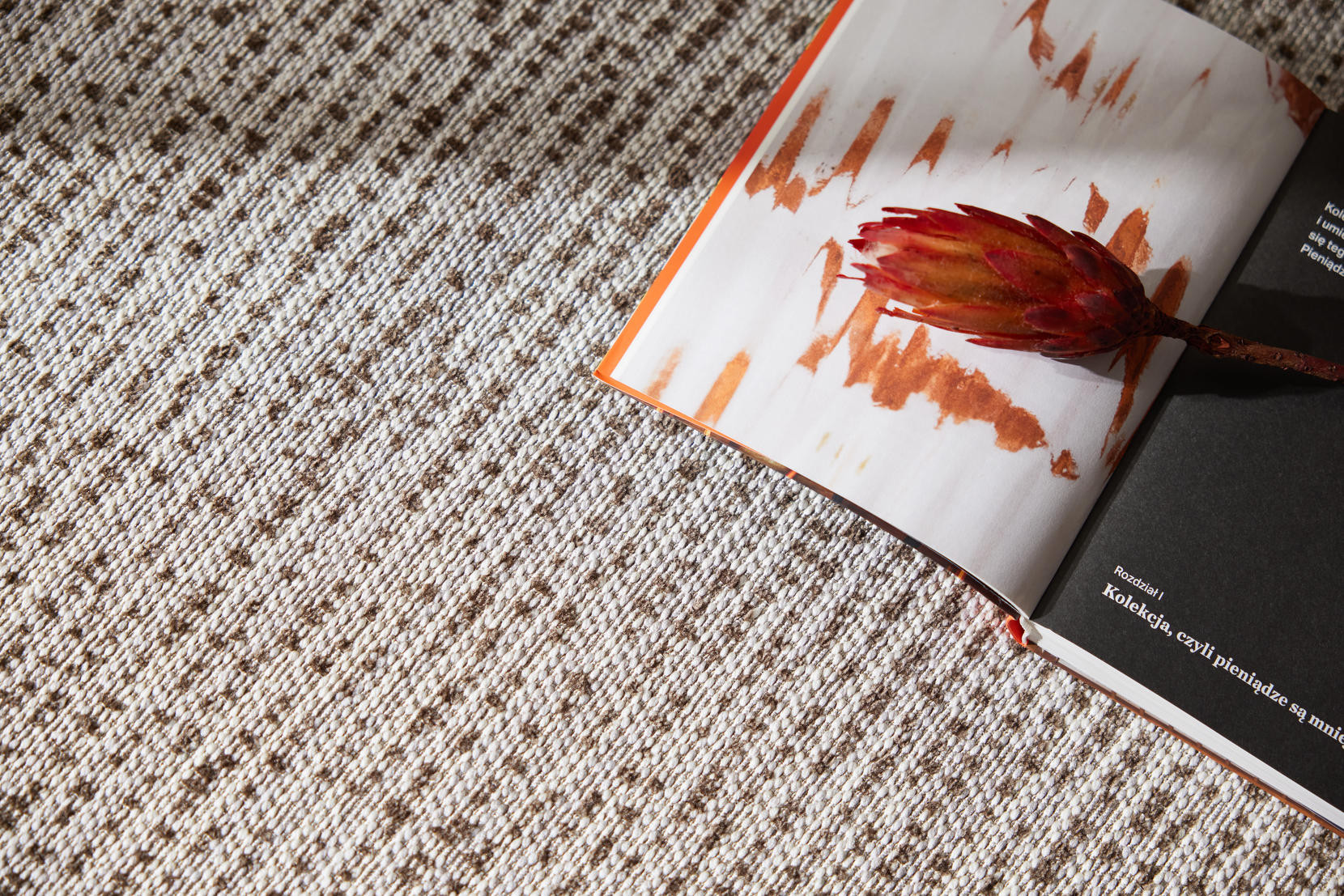 Koberec Balta Charly 1507 760