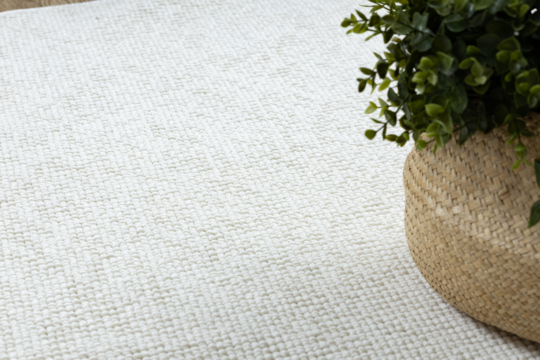 Koberec CASABLANCA PLUS krémový