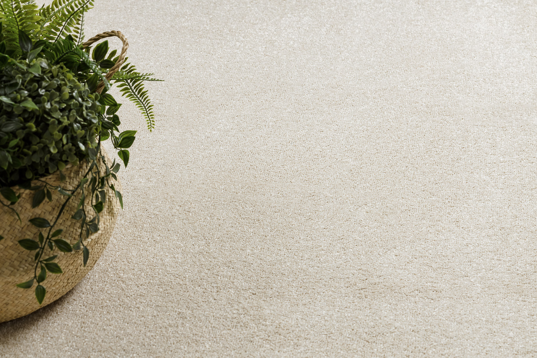 Koberec / Běhoun EXCELLENCE 305 krémový