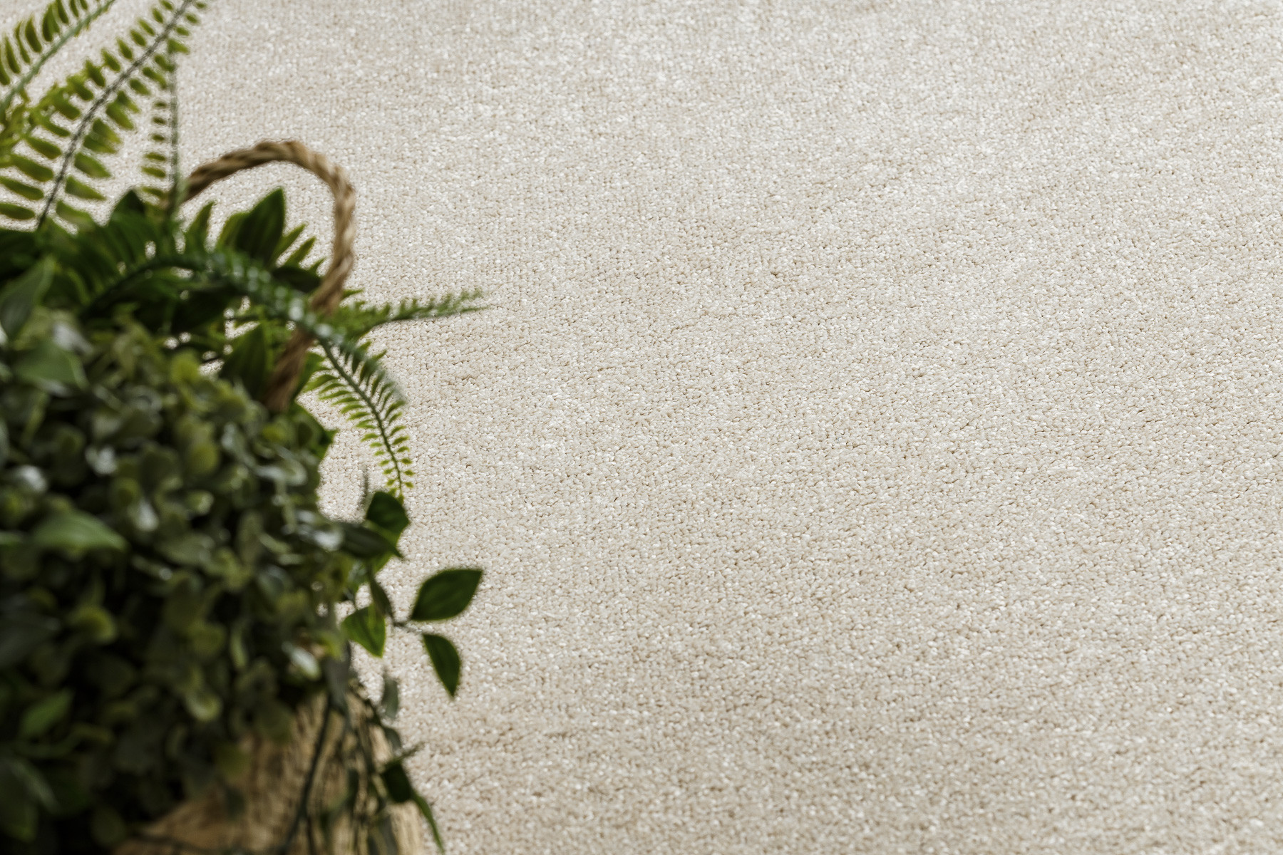 Koberec / Běhoun EXCELLENCE 305 krémový