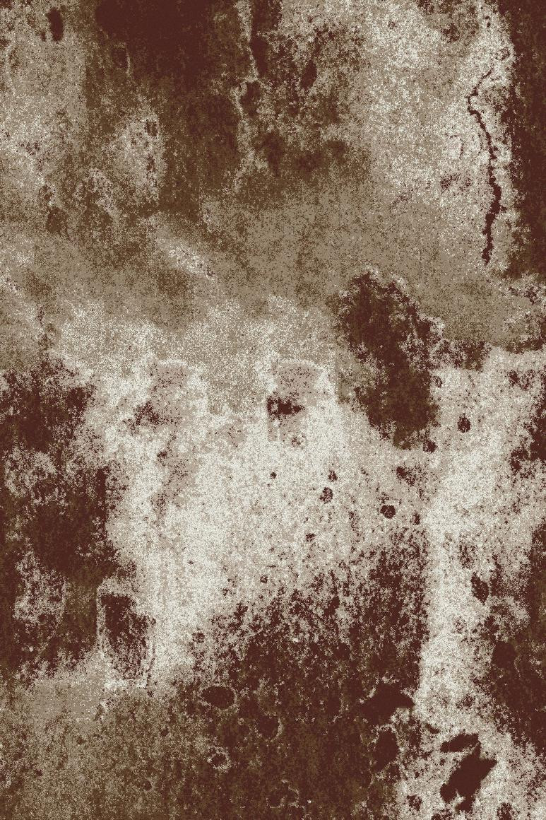 Koberec FD LIDA Conk hnědý