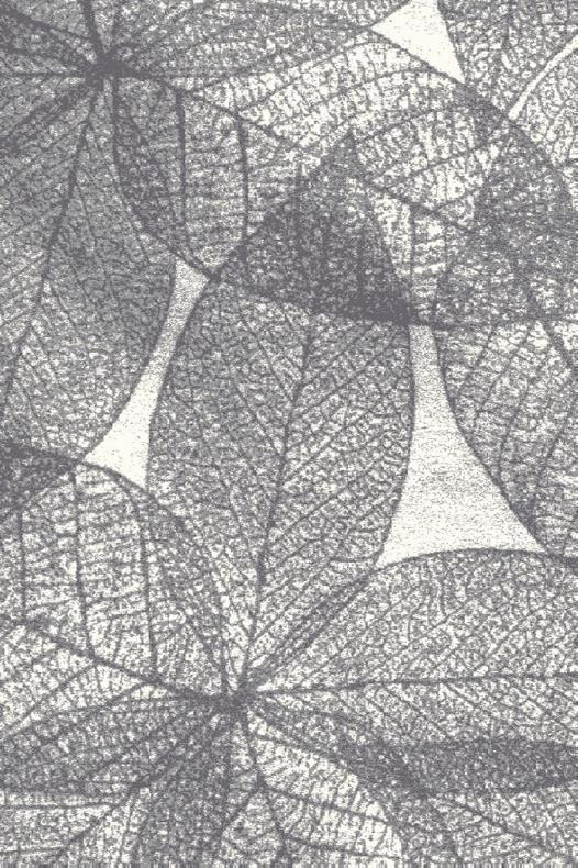 Koberec FD Lush Haust popelový