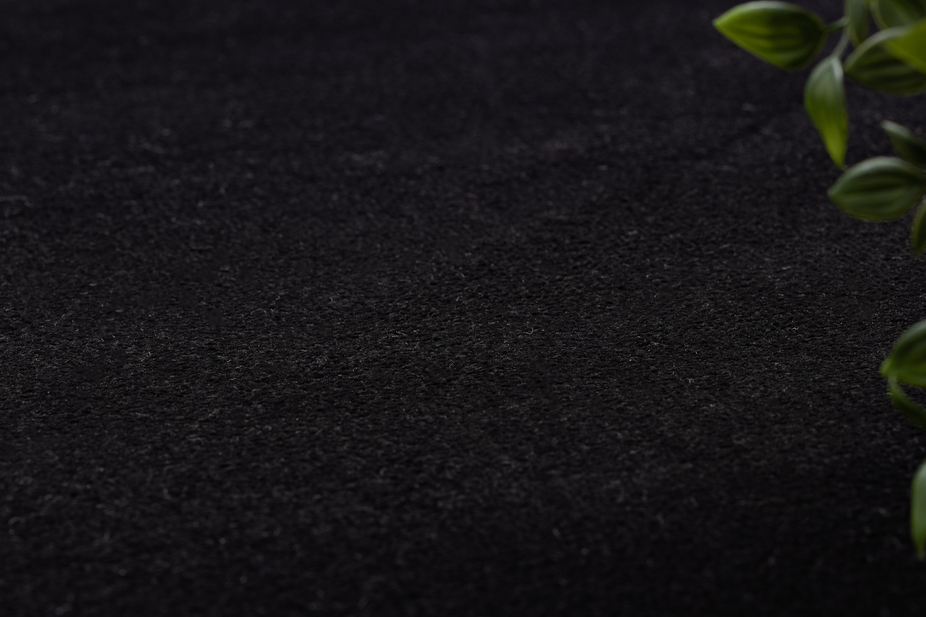 Koberec HAMPTON Border ramka černý