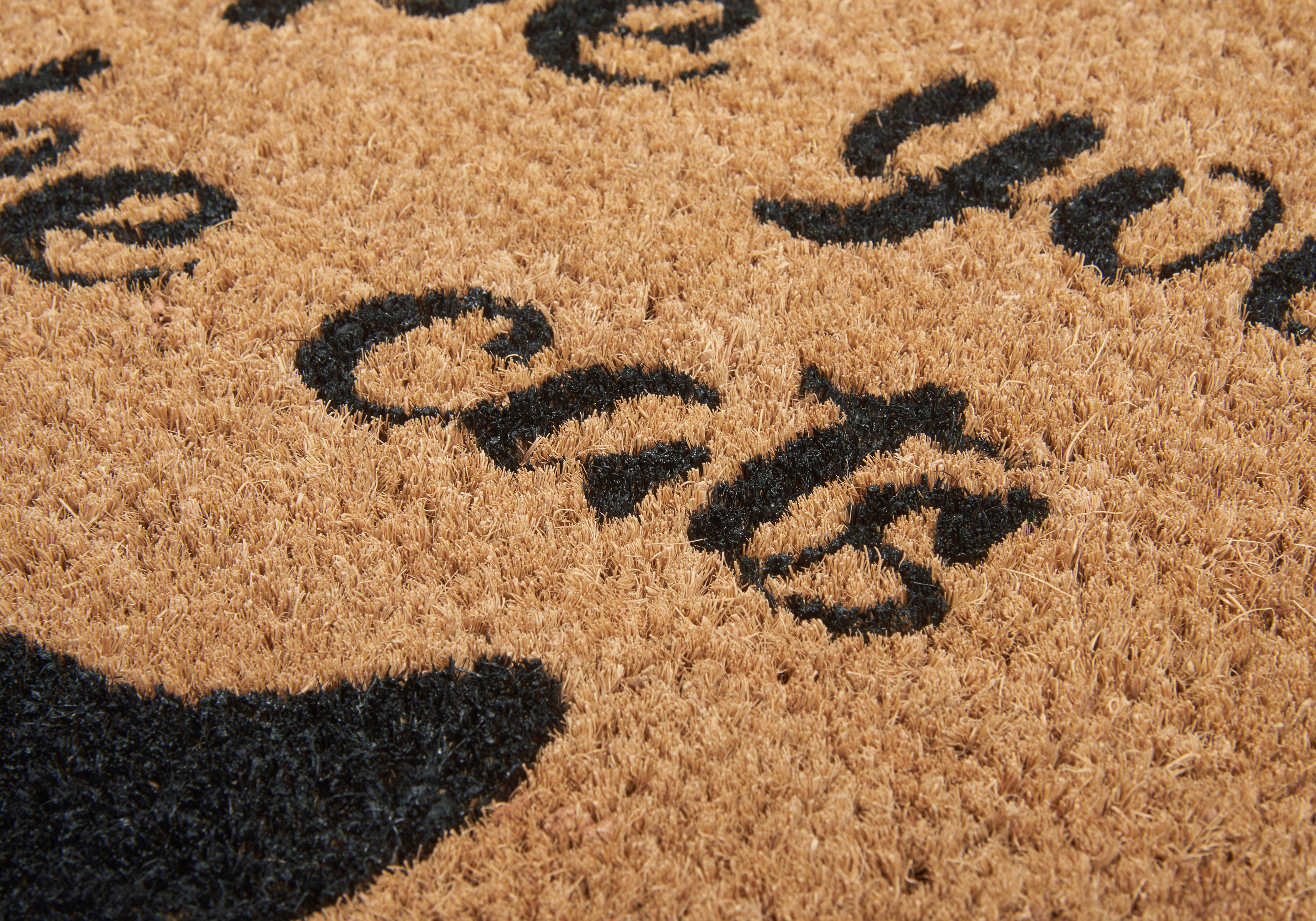 Rohožka Hanse Home Mix Mats Cat Fan