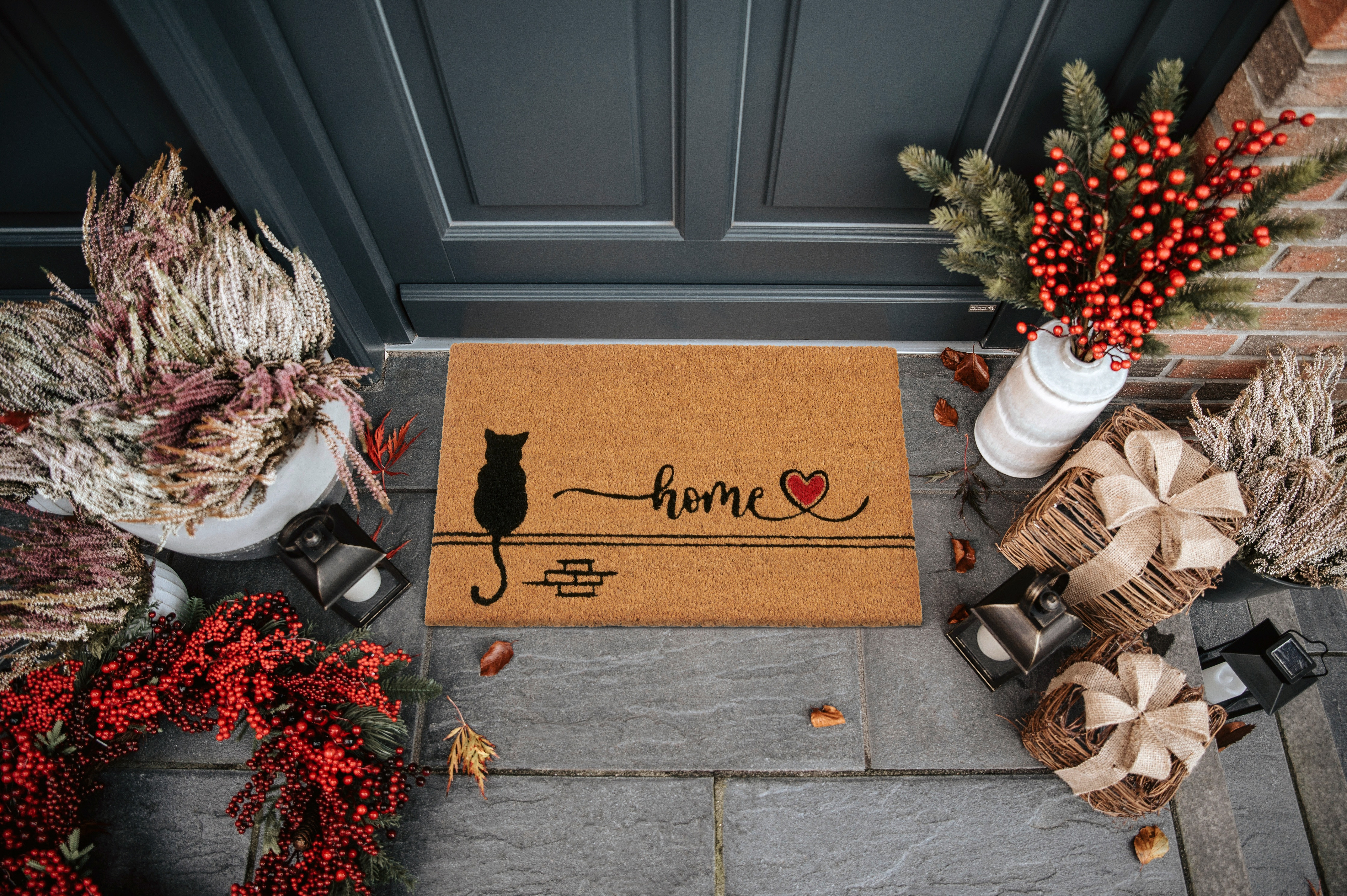 Rohožka Hanse Home Mix Mats Cat Home