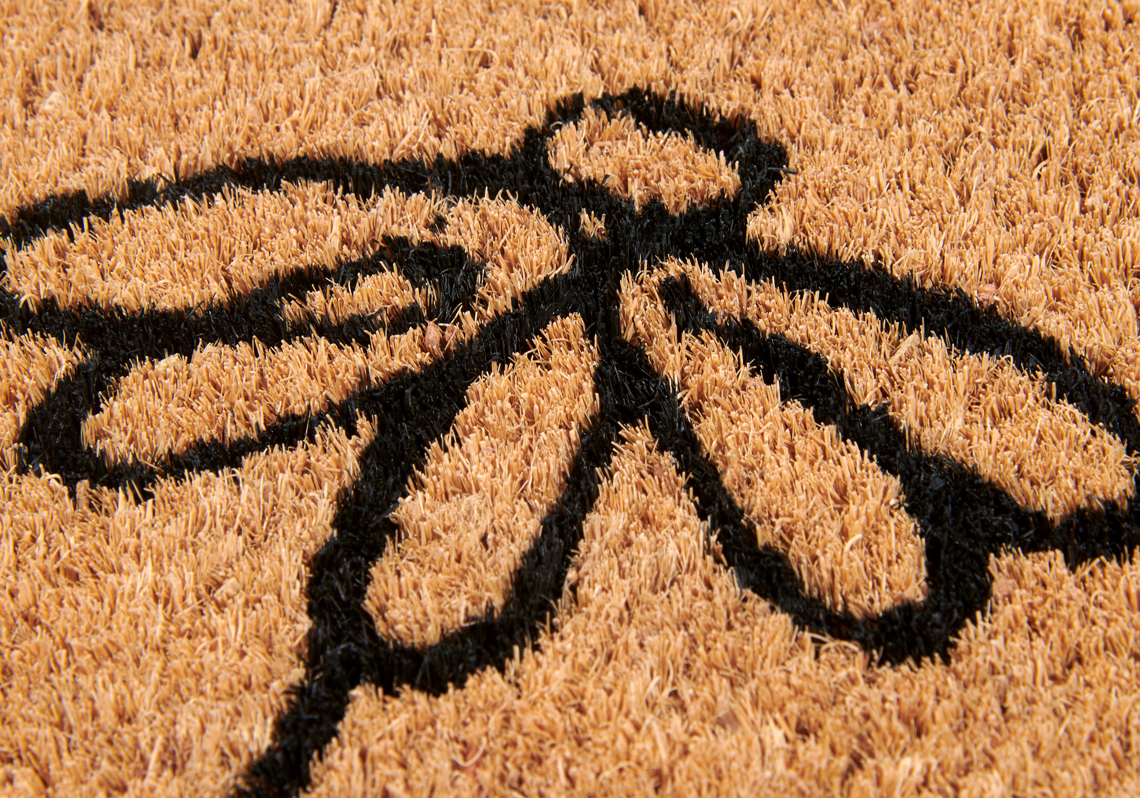 Rohožka Hanse Home Mix Mats černé květiny