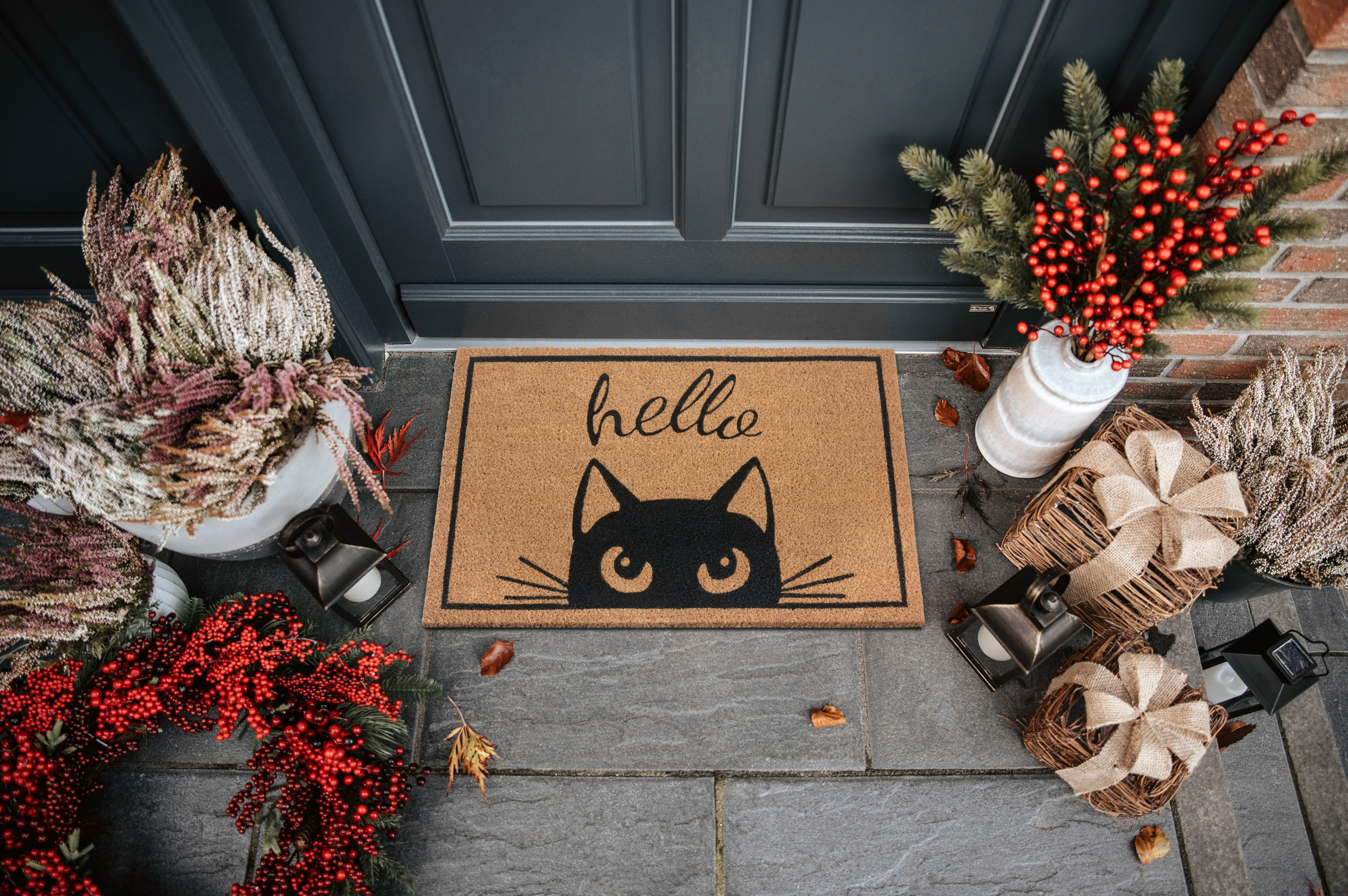 Rohožka Hanse Home Mix Mats Watching Cat