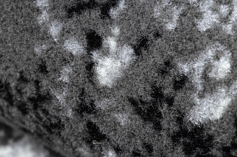 Koberec BCF Morad Pařez dřevo šedý