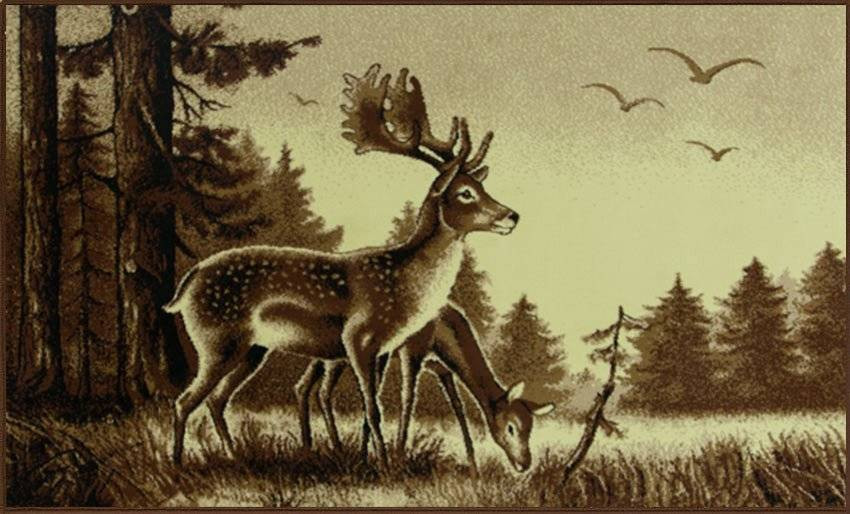 Koberec Makata - Jelen, béžový