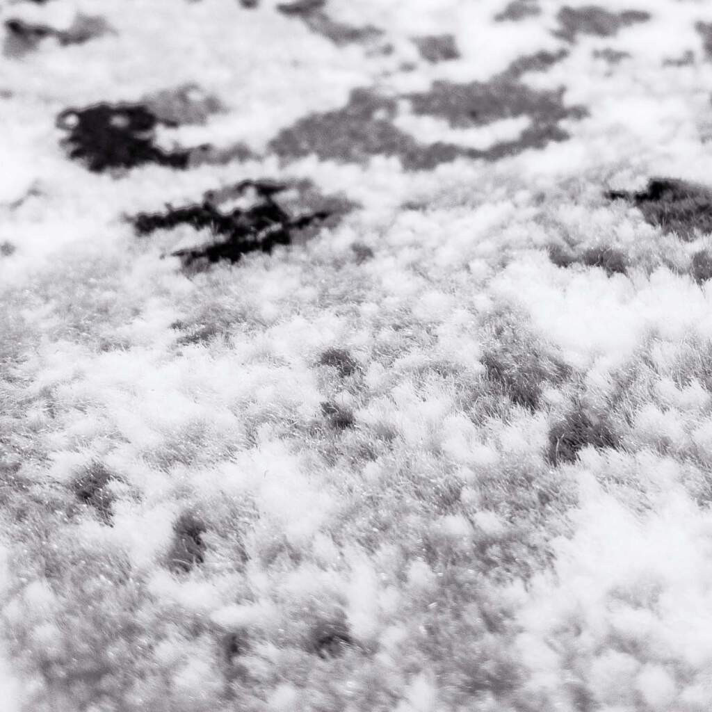 Koberec Timeless 6975 šedý