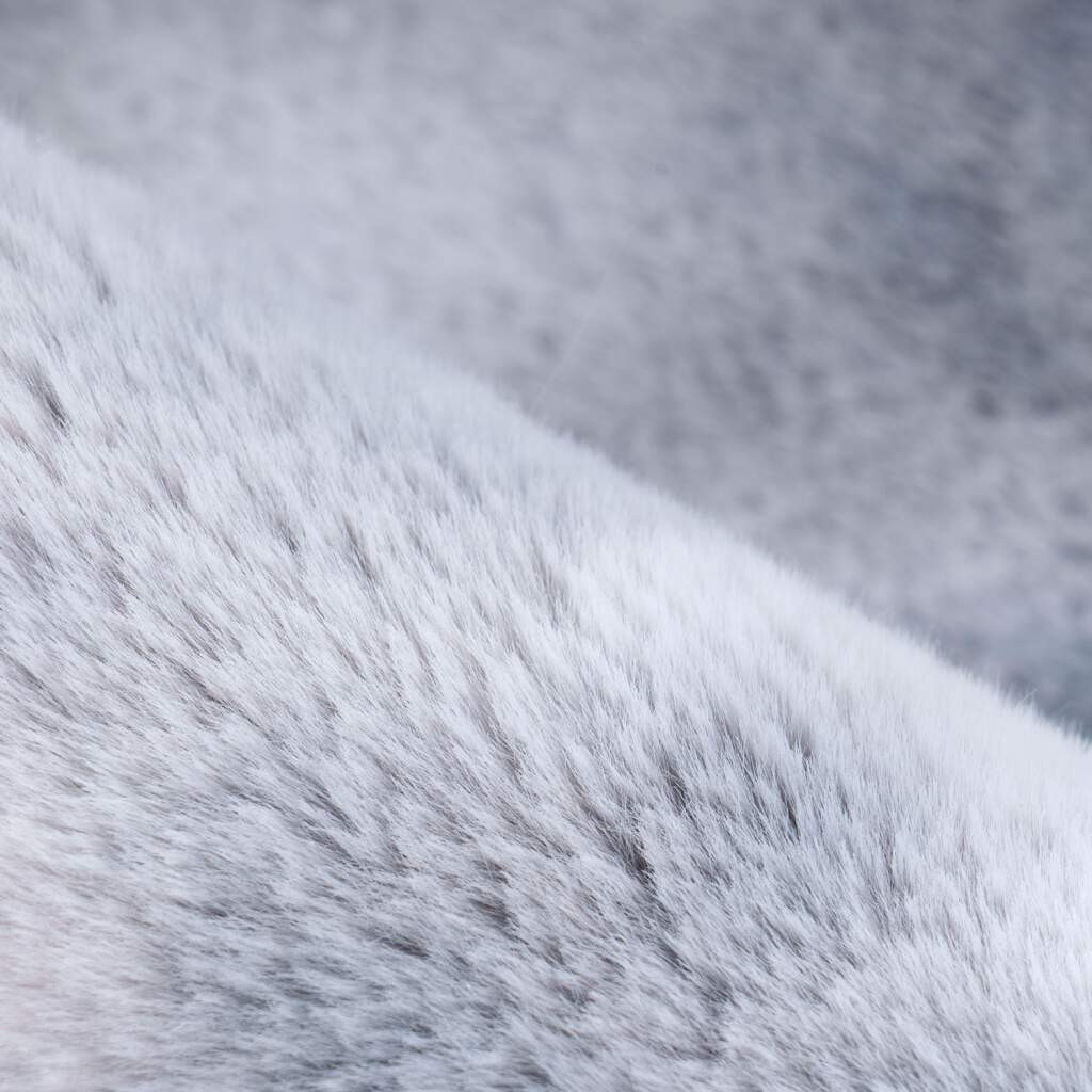 Koberec Toledo 500 šedý