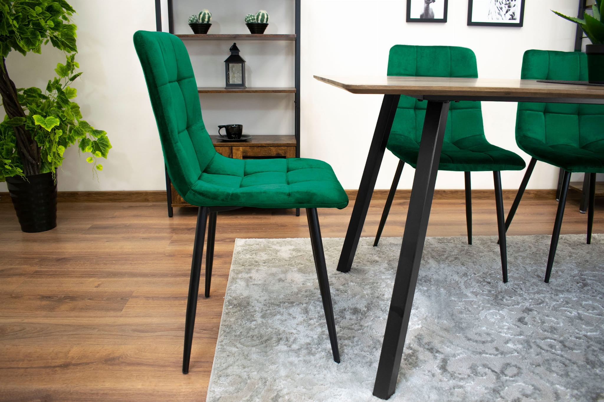 Jídelní židle KARA samet tmavě zelená (černé nohy)