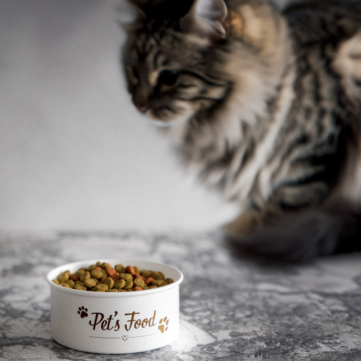 Miska pro zvířata DINGO 873589 0,5 l