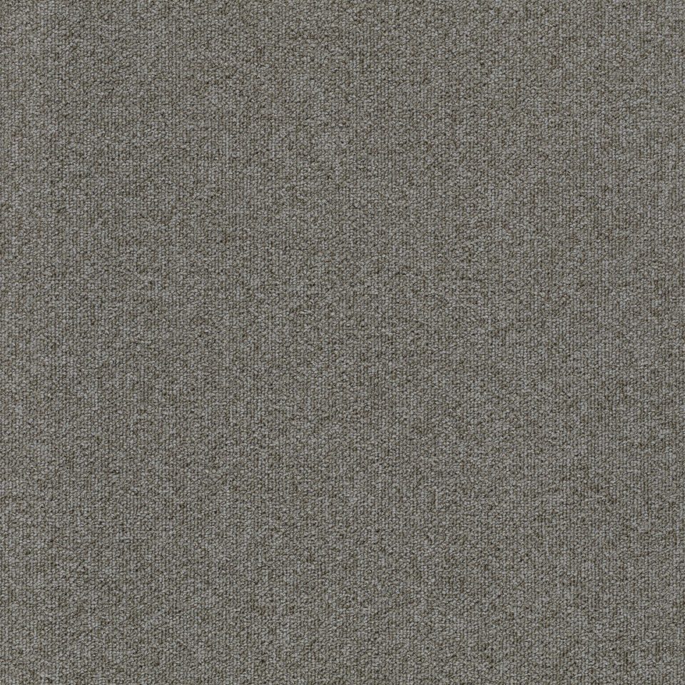 Kobercové čtverce TESSERA TEVIOT latte 50x50 cm