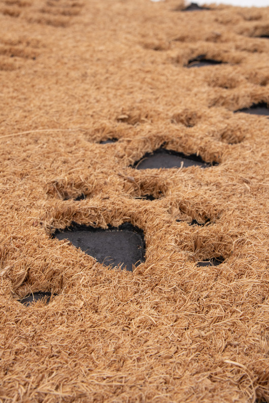 Rohožka M004 hnědá / černá