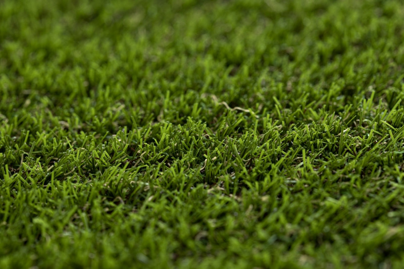 Umelá tráva FORESTLAND rolka