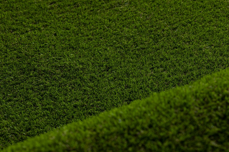 Umelá tráva FORESTLAND rolka