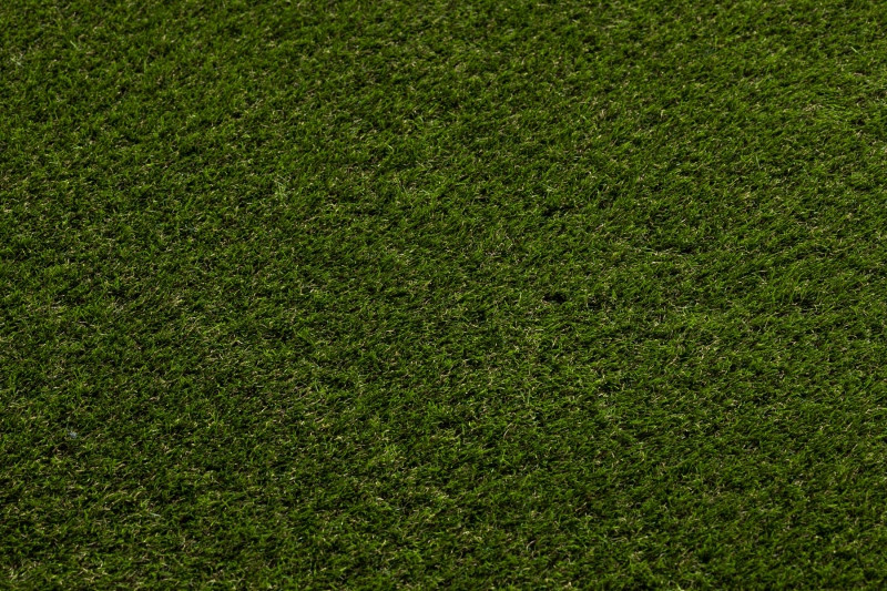 Umelá tráva FORESTLAND rolka