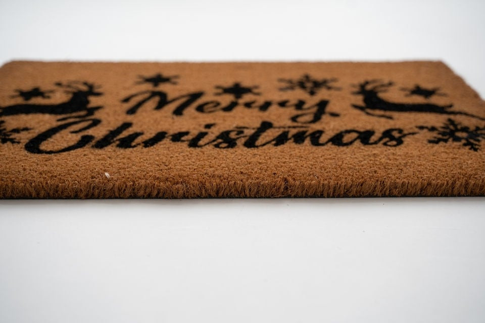 Rohožka KOKOS soby, béžová