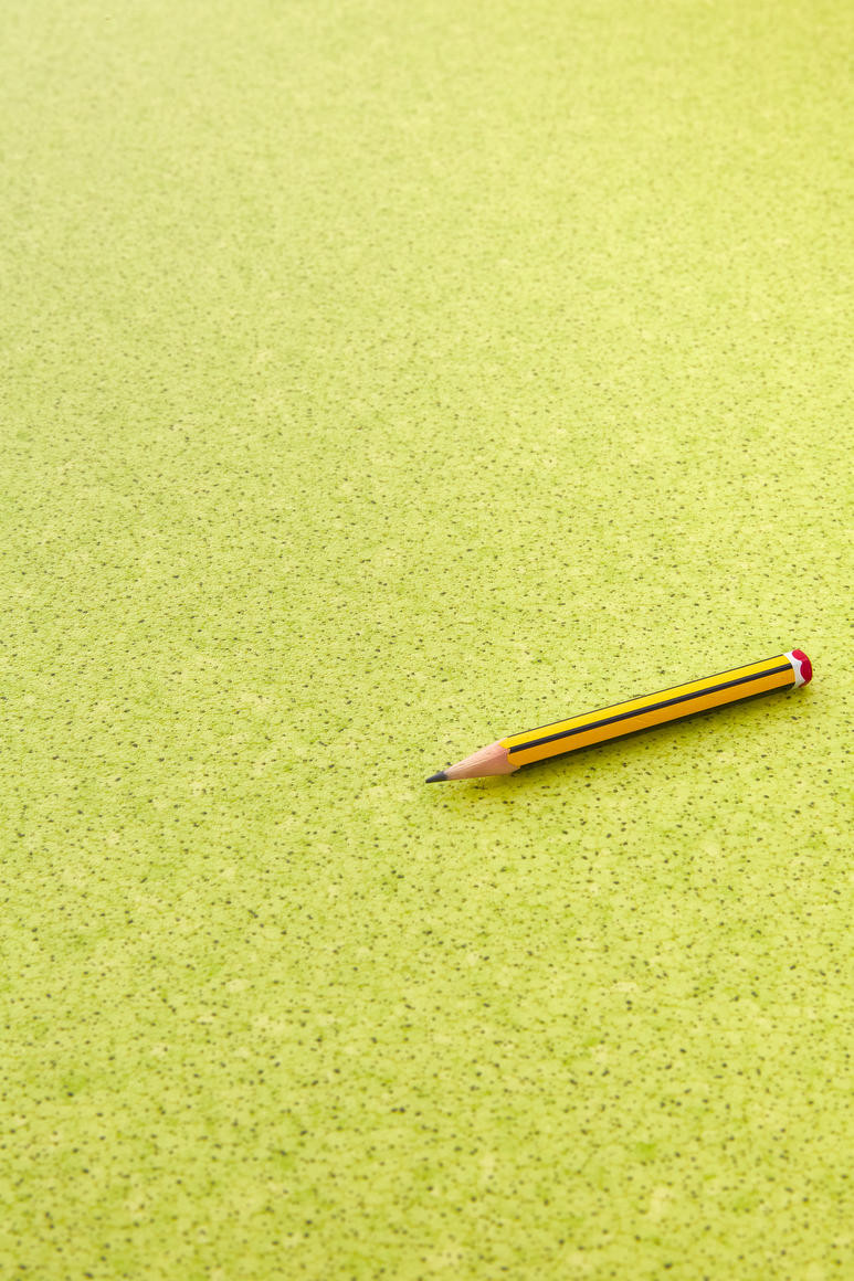 PVC podlaha Lentex Ranger 60311