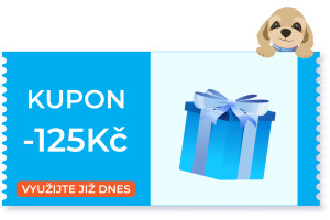 coupon