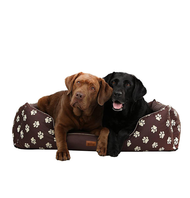 Pelíšek Prestige L hnědý, tlapky