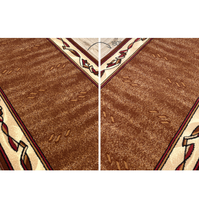 Běhoun BCF FILIP hnědý