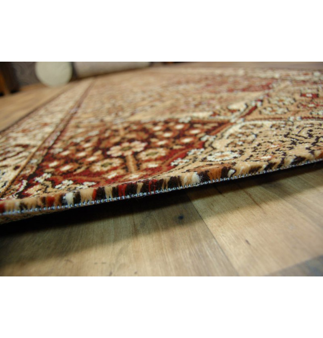 Běhoun STANDARD BERGENIA terakota