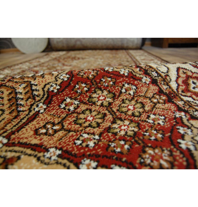 Běhoun STANDARD BERGENIA terakota