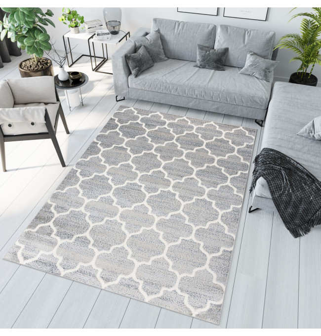 Koberec MIA 4496B šedý / krémový