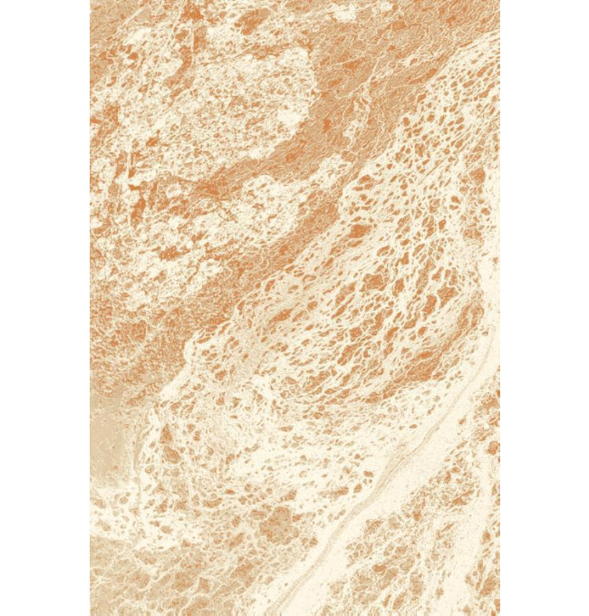 Koberec Agnella Agnus Afi světle béžový