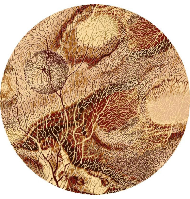 Koberec Agnella Isfahan Bellona Bursztyn kruh