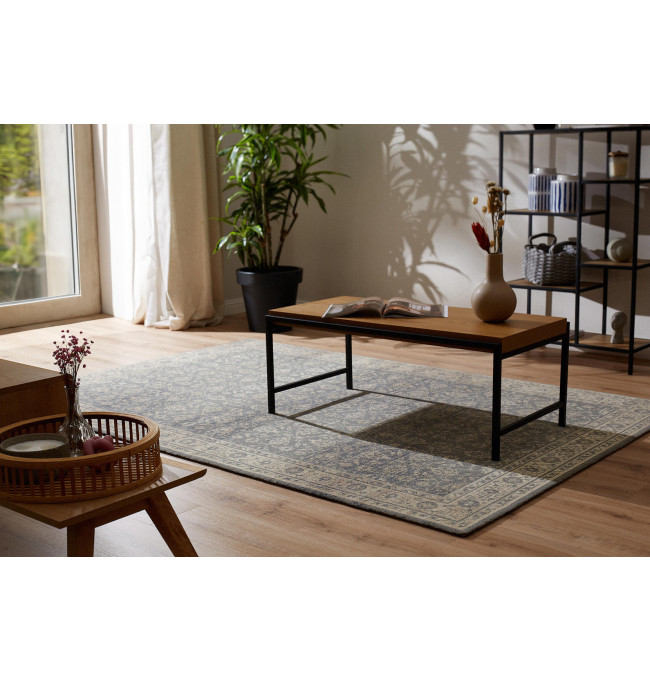 Koberec Agnella Regius Rostia popel